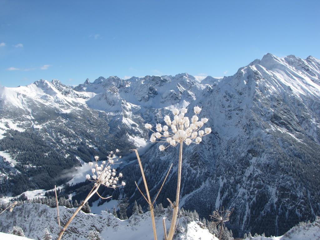 Oberstdorfer Bergwelt 213 Διαμέρισμα Εξωτερικό φωτογραφία